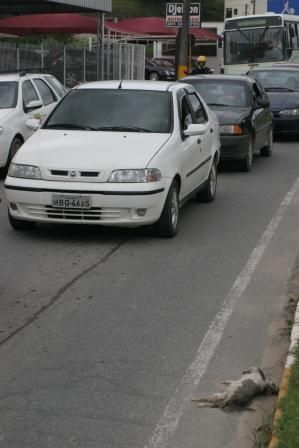 img4072reduzidaMD.jpg