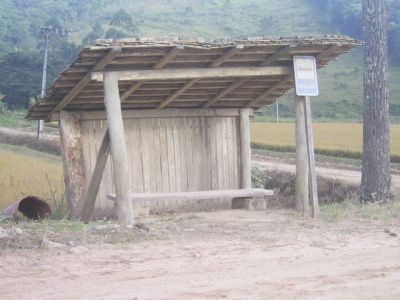 fotochumbo2MD.jpg