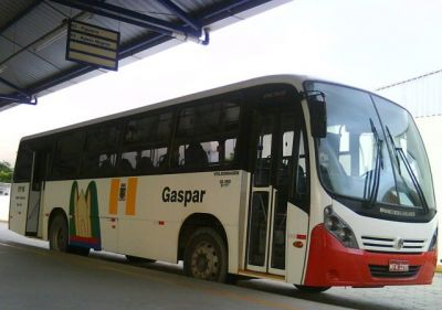fotopg07abreMD.jpg
