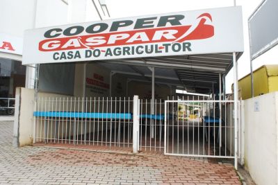 fotopg11abrecolorMD.jpg