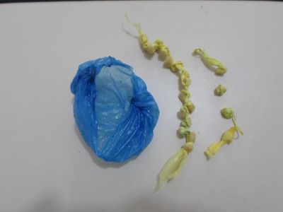 drogasMD.jpg