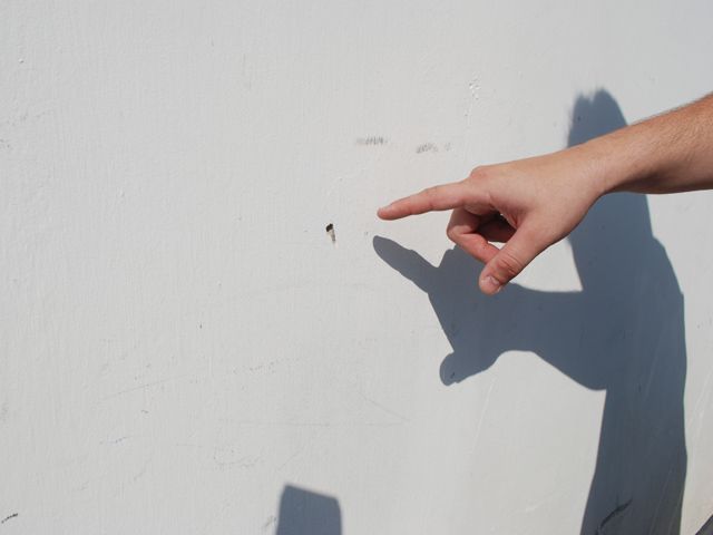 foto1GG.jpg