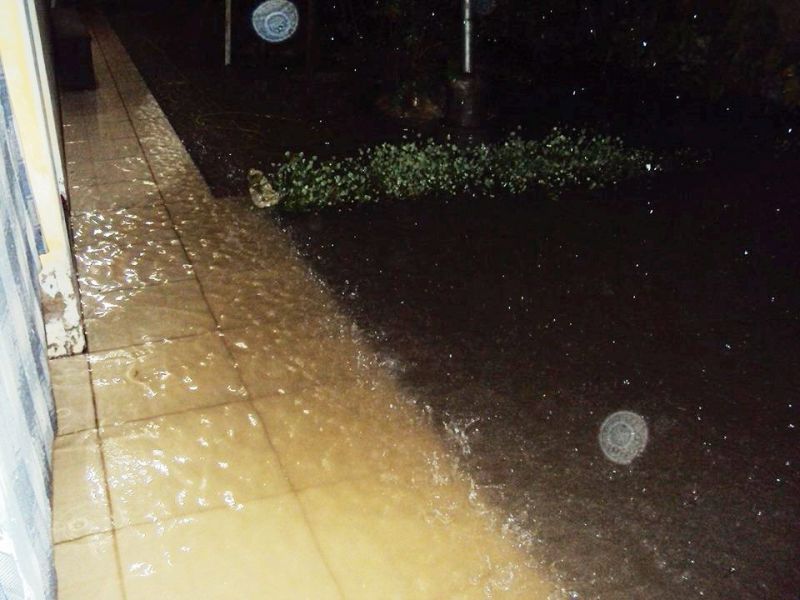 1GG.jpg