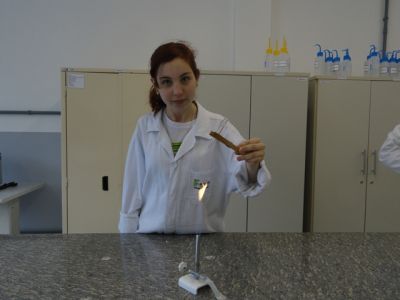 fotopg11secundaria2colorMD.jpg