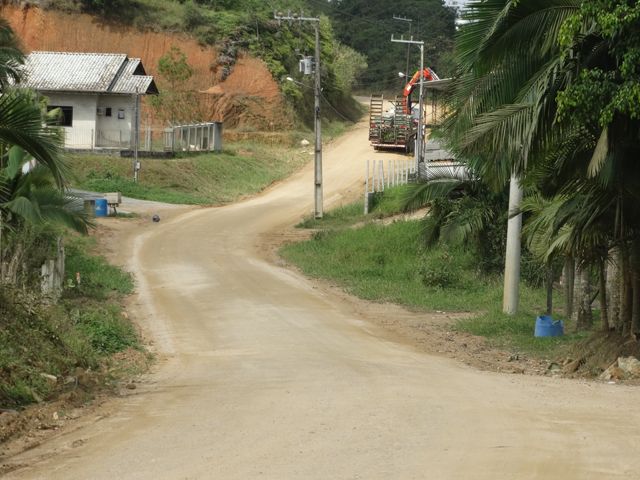 fotobosiGG.jpg