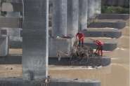 Bombeiros e Samae limpam pilares da Ponte Hercílio Deeke, no Centro