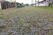 Rua 25 de dezembro é tomada pelo capim