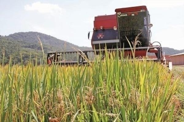 Cravil de Gaspar inaugura nova loja nesta sexta-feira