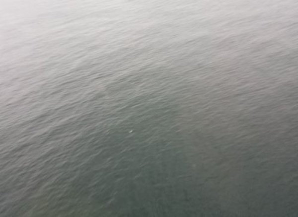 Aeronave cai no mar ap�s decolar em Florian�polis