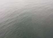 Aeronave cai no mar ap�s decolar em Florian�polis