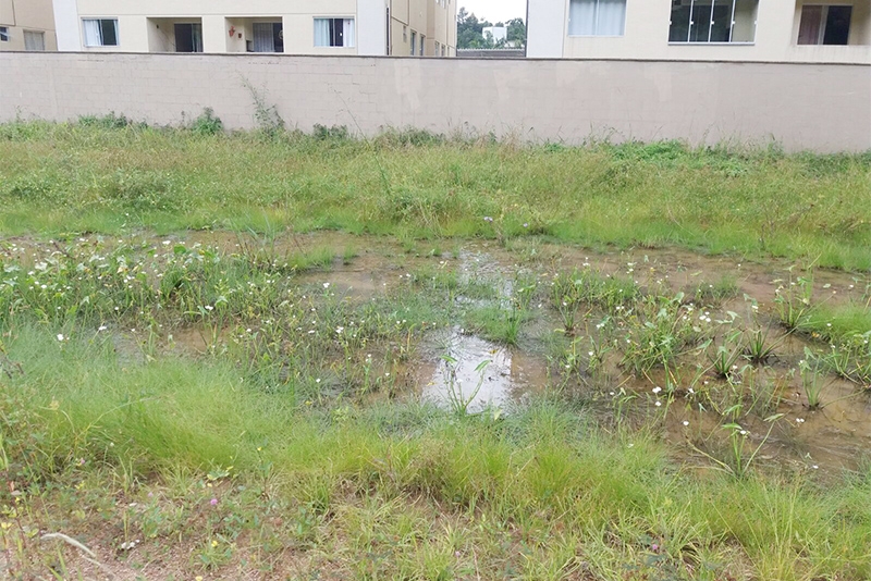 Água parada em terreno preocupa moradores no Gasparinho