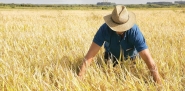 Agricultura promove cadastramento de produtores rurais