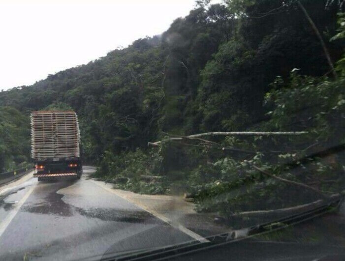 Forte chuva causa estragos no Litoral Norte