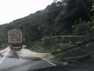 Forte chuva causa estragos no Litoral Norte 