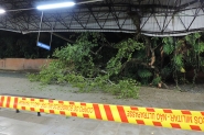 Árvore cai sobre telhado e interdita parte de terminal em Blumenau