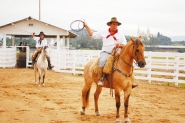 Rodeio na Arena Multiuso movimenta Gaspar no feriado
