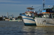 Pescadores interrompem acesso aos portos de Itaja� e Navegantes