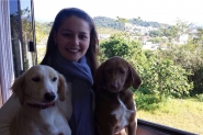 Sem bons locais na cidade, gasparenses buscam lazer para pets em Blumenau