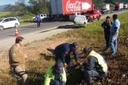 Dois carros e dois caminhões colidem na BR-470, em Gaspar