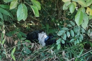 Corpo de homem encontrado no bairro Gaspar Alto é identificado