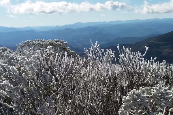 Cidades de SC t�m temperaturas negativas e geada nesta segunda-feira