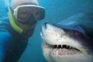 10 selfies que deram muito errado