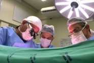 M�dicos de SC explicam caminho do transplante, do doador ao receptor