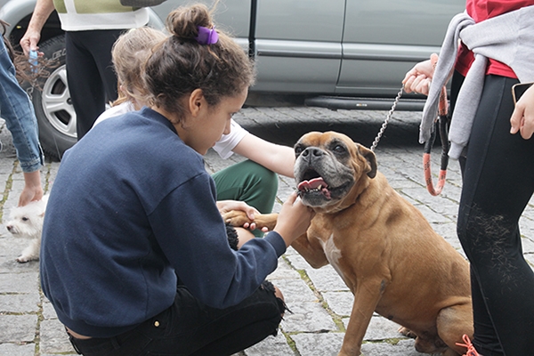 B�n��o dos animais marca Dia de S�o Francisco de Assis em Gaspar
