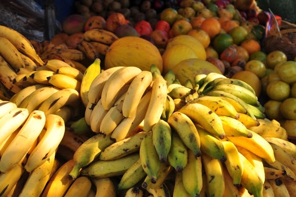 Valor Bruto da Produ��o Agropecu�ria Catarinense deve superar R$ 28 bilh�es em 2016