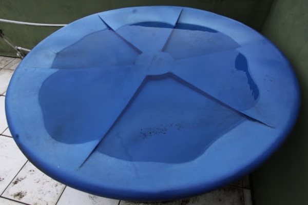 Santa Catarina intensifica a��es de combate ao mosquito Aedes aegypti