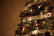 Voc� sabia que existe um dia para enfeitar o pinheiro de Natal? Confira