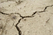 Tremor de 5,4 graus atinge o Equador