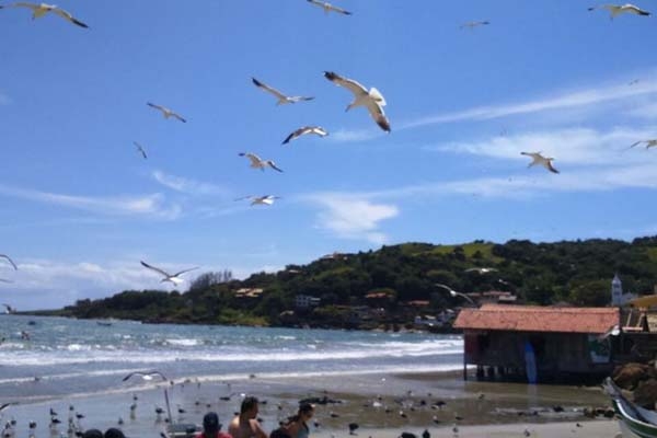 48 dos 214 pontos analisados pela Fatma est�o impr�prios para banho