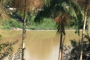 Meio Ambiente investiga espuma no rio Itajaí-Açu