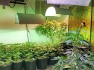 Pol�cia fecha laborat�rio de skank em casa de luxo de Florian�polis