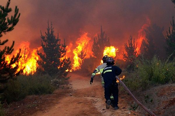 Incndio desaloja 6 mil pessoas em Via del Mar, no Chile