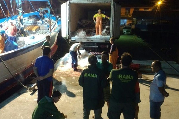 Seis toneladas de peixe em extin��o s�o apreendidas em Porto Belo