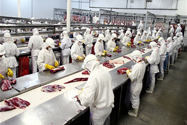 Carnes de 3 frigorficos tero que ser recolhidas, determina Senacon