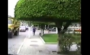 Vídeo mostra como era Gaspar na década de 90