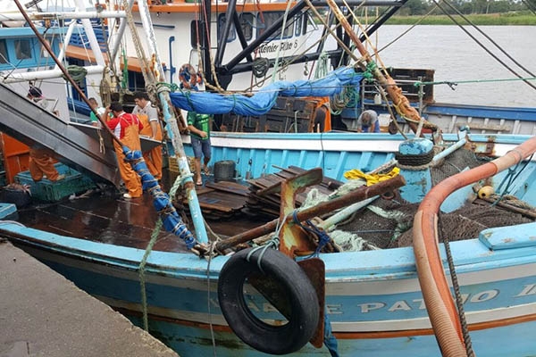 Ibama apreende 12 toneladas de pescados em Navegantes