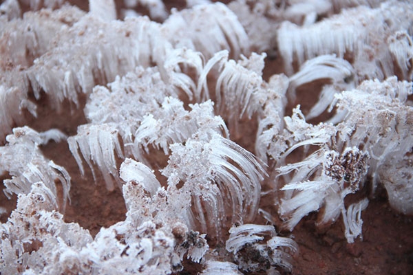 Cidades de SC registram temperatura abaixo de 0�C e geada