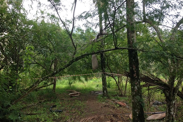 Corpo � encontrado decapitado em terreno de Blumenau