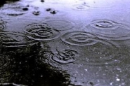 Quinta-feira deve ser de chuva e temperaturas amenas em Santa Catarina