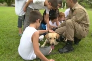 C�o da PM ajuda no tratamento de crian�as com autismo em Crici�ma