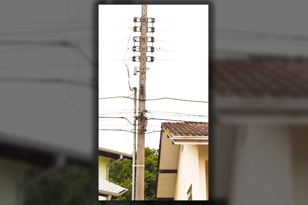 Moradores de rua do bairro Bela Vista est�o sem ilumina��o p�blica h� cinco meses