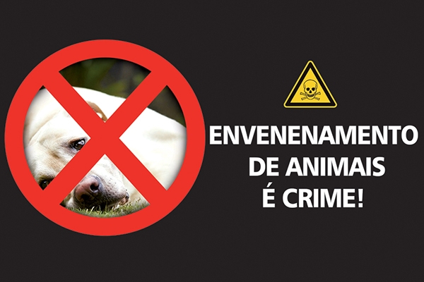 Em três dias, nove animais de estimação são envenenados no bairro Coloninha