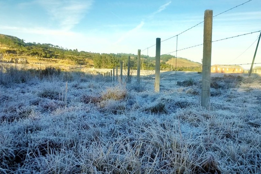 Semana começa com temperaturas negativas e geada na serra catarinense