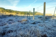 Semana começa com temperaturas negativas e geada na serra catarinense