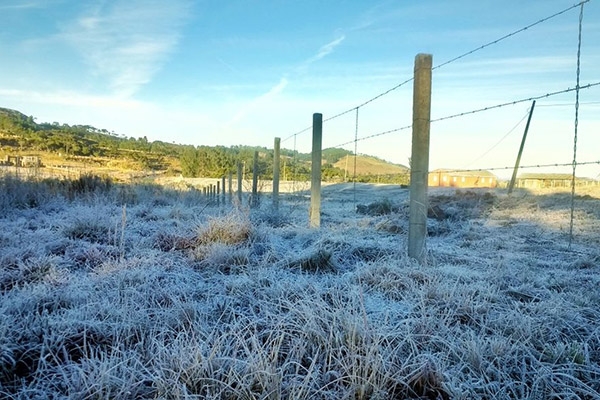 Semana come�a com temperatura negativa e geada na Serra de SC