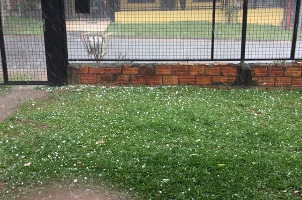 Temporal destelha casas e derruba �rvores em Chapec�